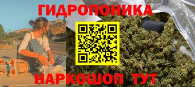 apvp Дубна