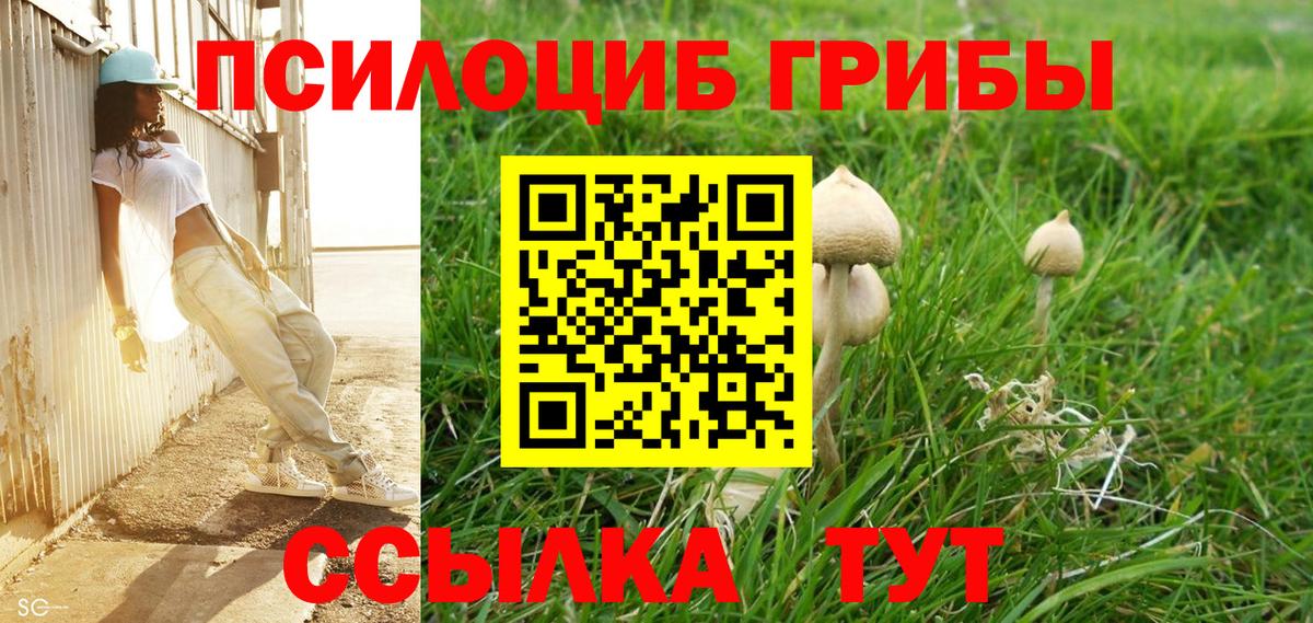 Луга  закладка  Галлюциногенные грибы Psilocybe  Вход с VPN  Галлюциногенные грибы мухоморы 