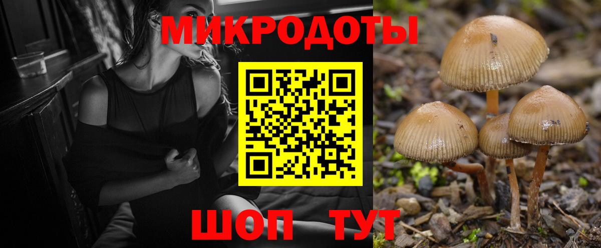 Галлюциногенные грибы мухоморы Луга